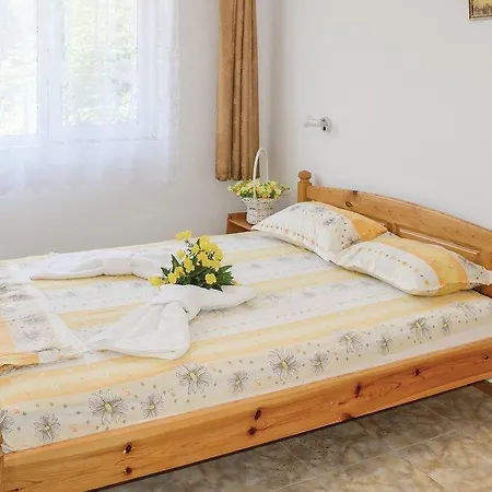 Konukevi Dimitrovi Velika